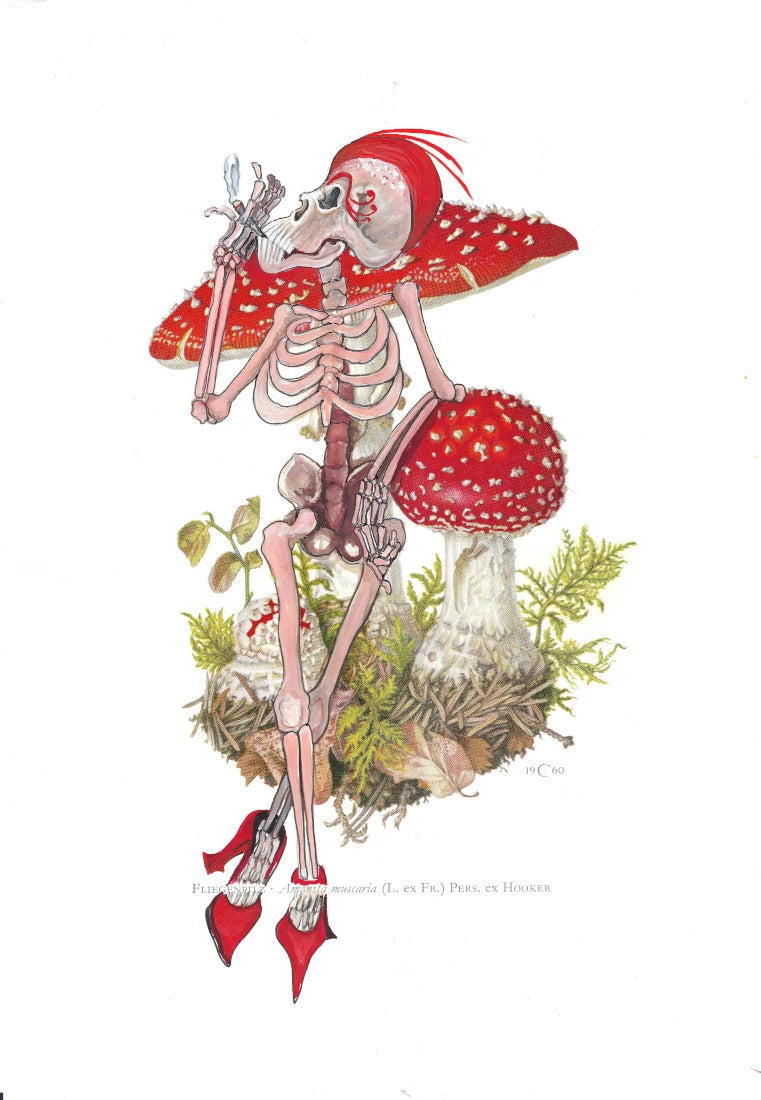 Amanita Skelatrix