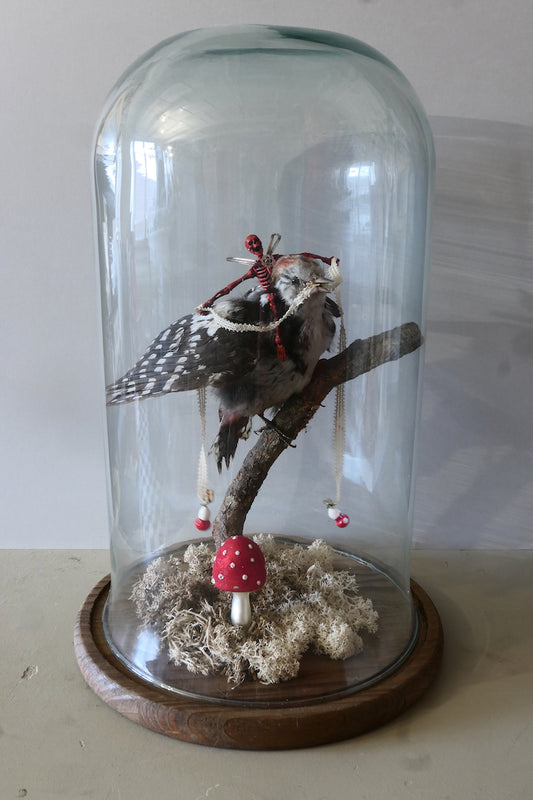 Plastic skeleton on stuffed woodpecker